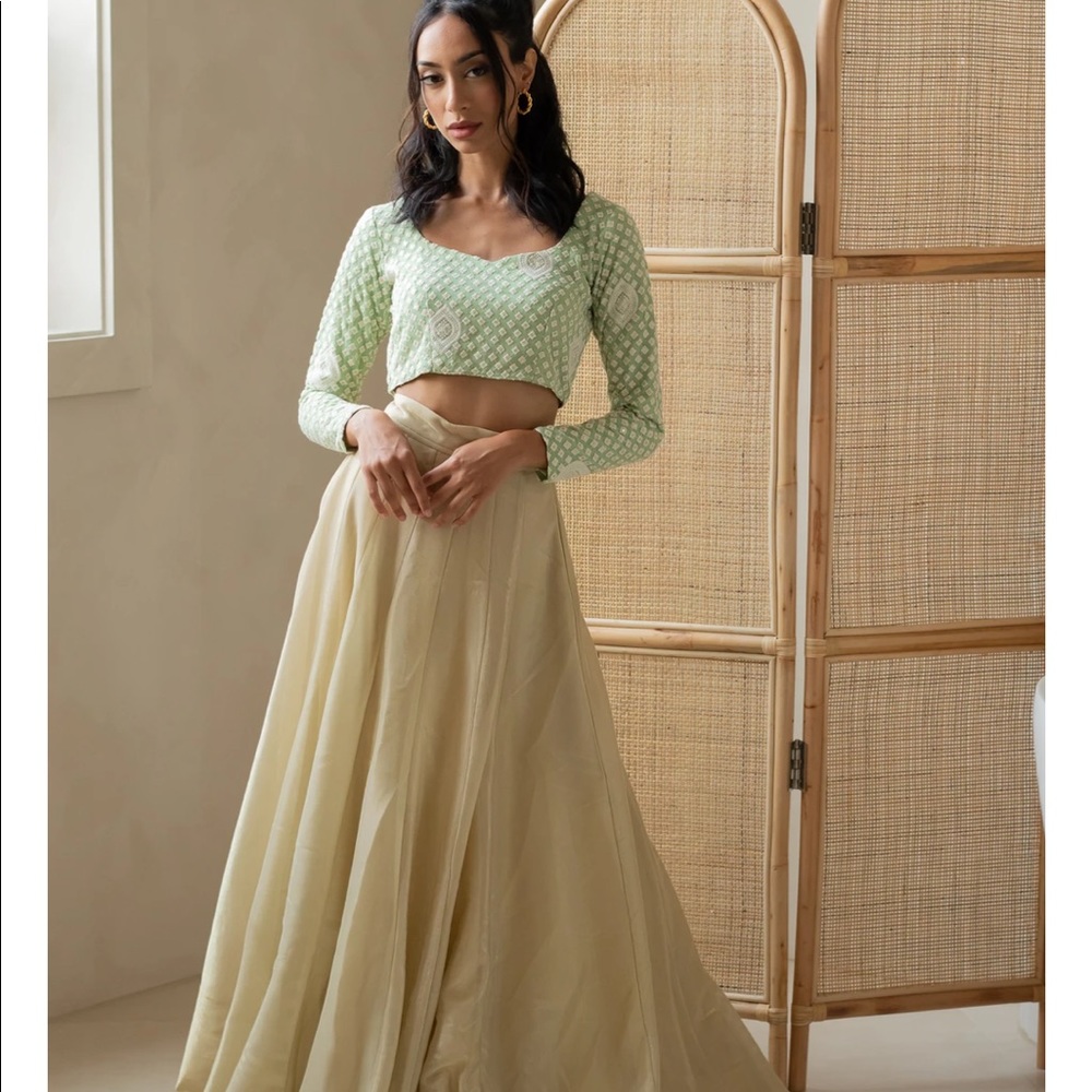 The Saree Room golden beige skirt NWT